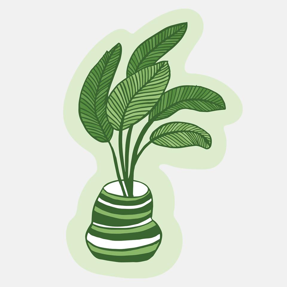 pot plant stickers Plant Sticker – The Good Twin Retail